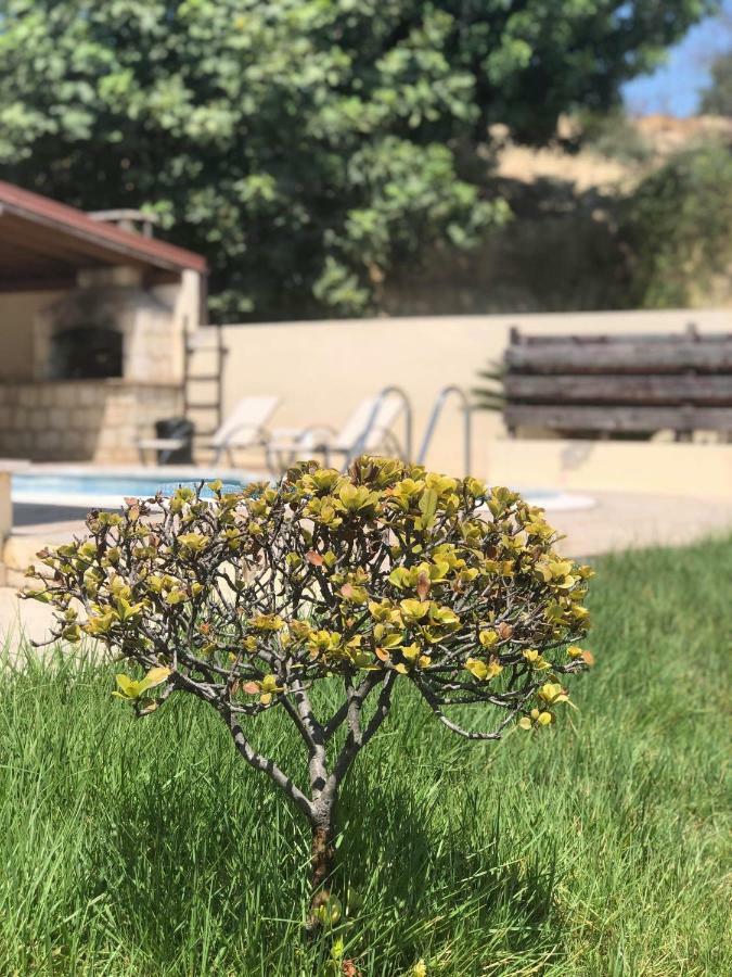 Afroditi House Stroumbi Buitenkant foto